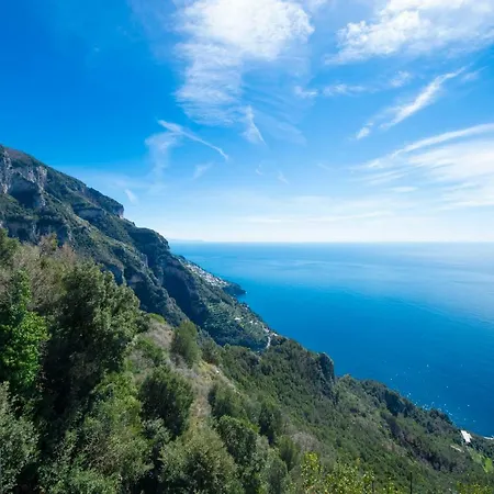 Your Nest On The Path